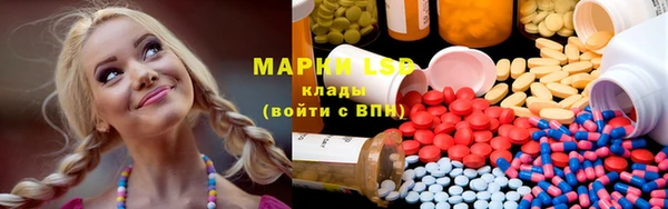 PSILOCYBIN Ростов