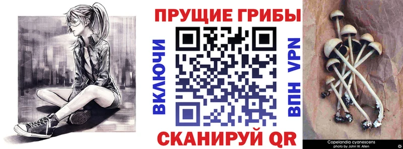 Псилоцибиновые грибы GOLDEN TEACHER  Купить  Щёкино 